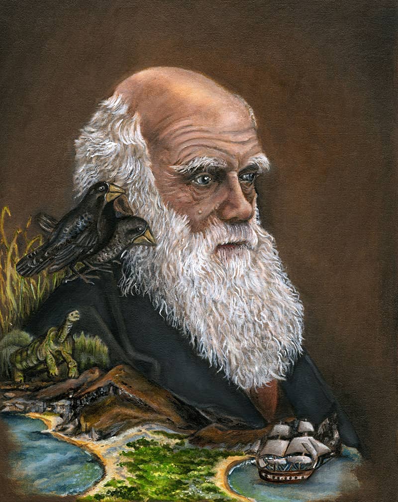 Illustration project by Connie Resch