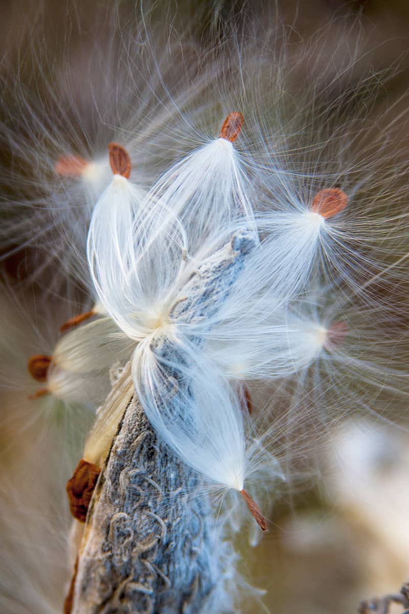 Photography project by Kenneth Evans