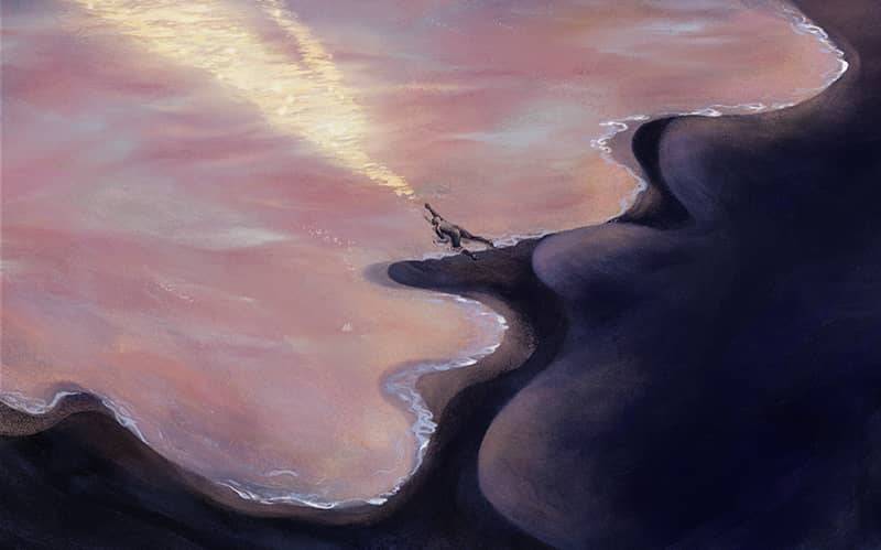 Illustration project by Chenghao Yu