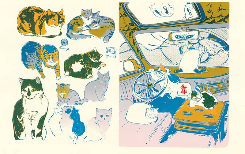 Illustration project by Bingying Li