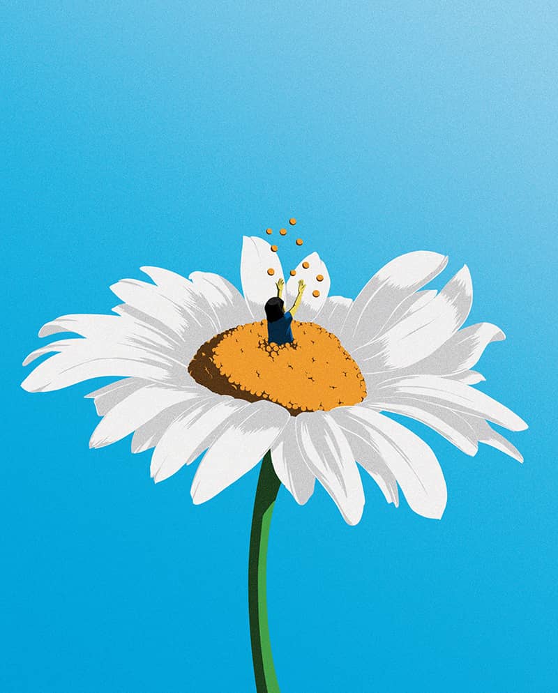 Illustration project by Keith Alexander Lee