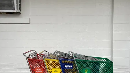 Karin Forde Whittemore