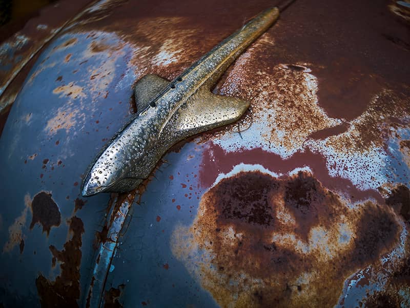 Photography project by Jerry Lofaro