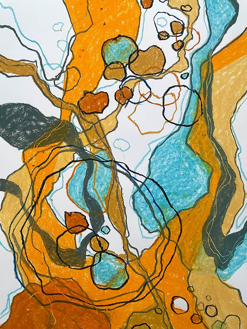 Fine Art project by Colleen Schindler