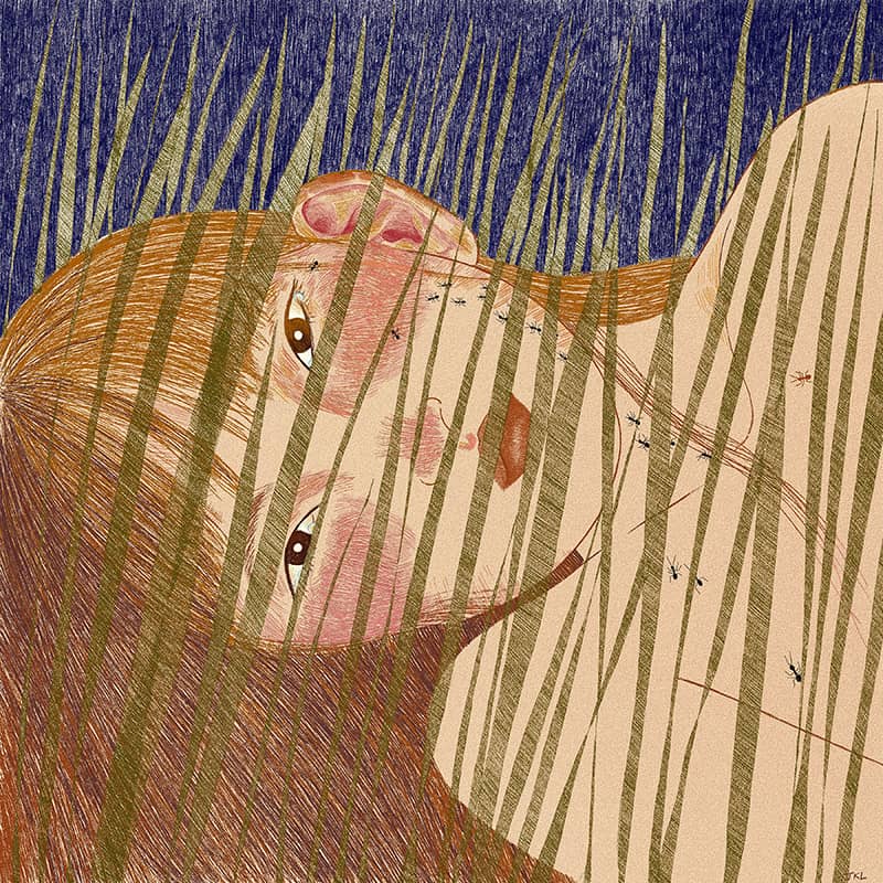 Illustration project by Jasmine Lesperance