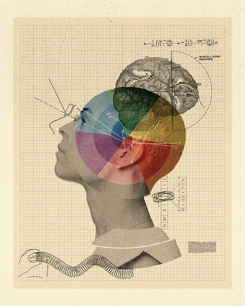 Illustration project by Whitney Holden