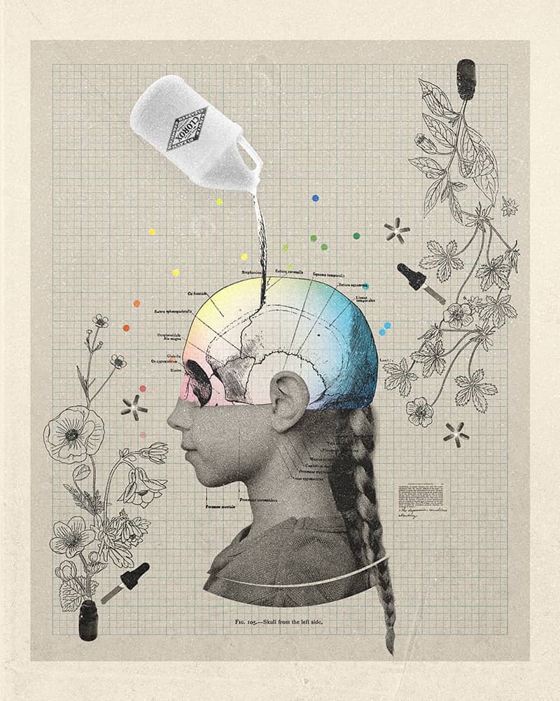 Illustration project by Whitney Holden