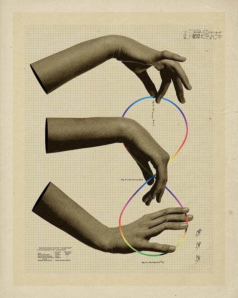 Illustration project by Whitney Holden