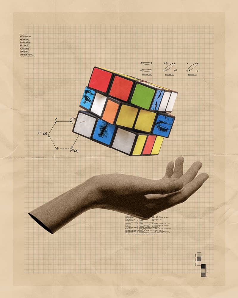 Illustration project by Whitney Holden