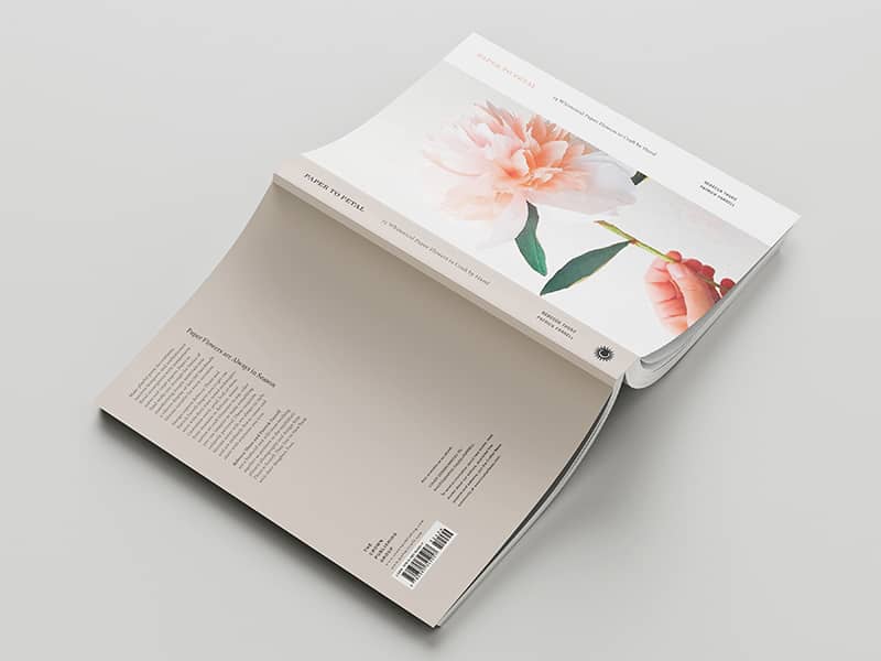Graphic Design project by Mintzu Yu