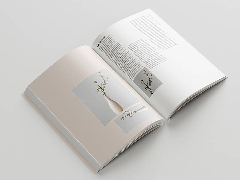 Graphic Design project by Mintzu Yu