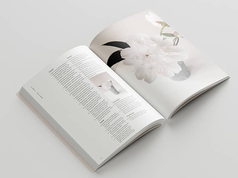 Graphic Design project by Mintzu Yu