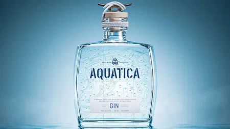  CF Napa Brand Design