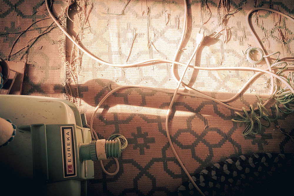 Photography project by Sarah Lawhorne