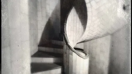 Karin Forde Whittemore