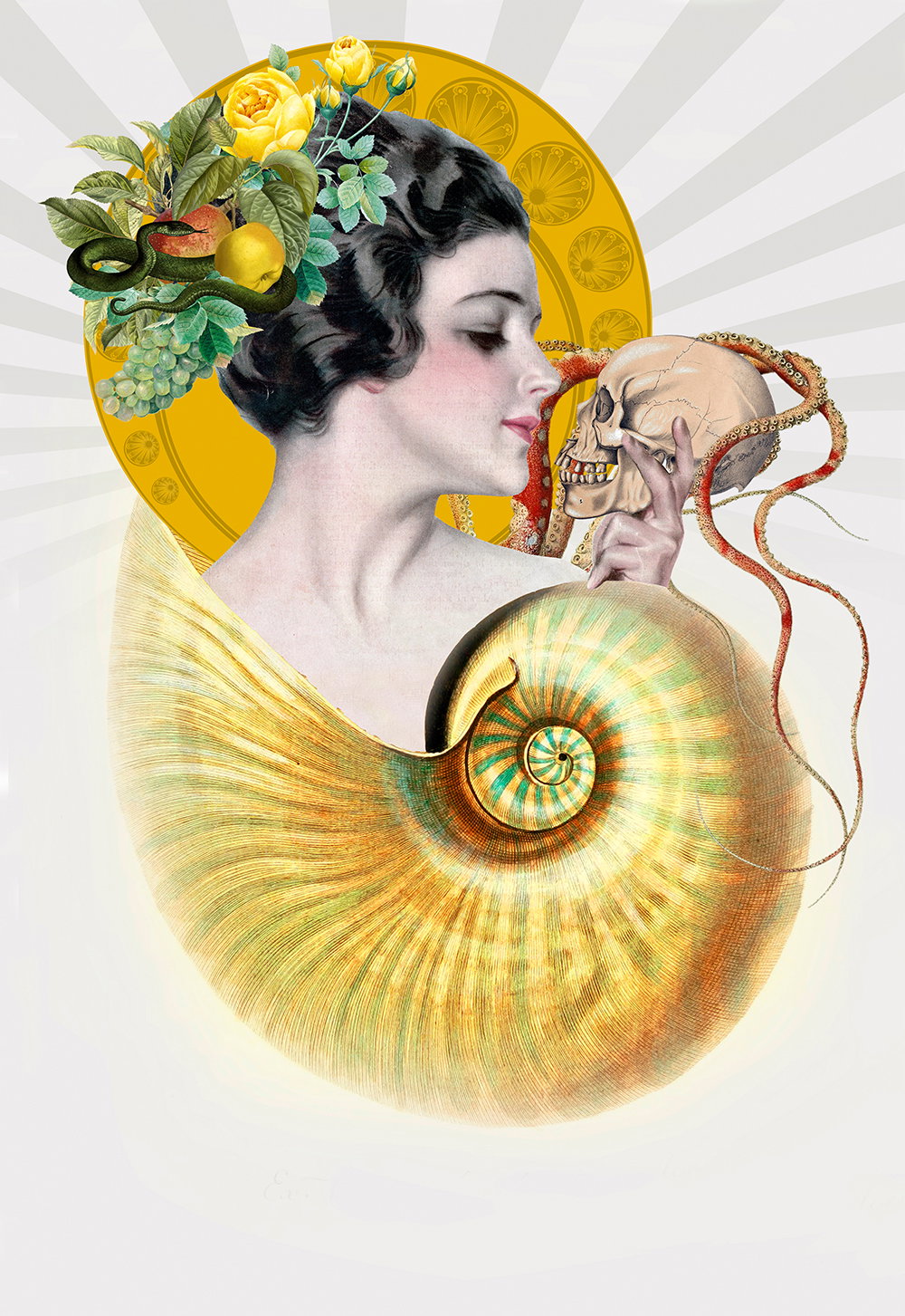 Illustration project by Christina Ullman