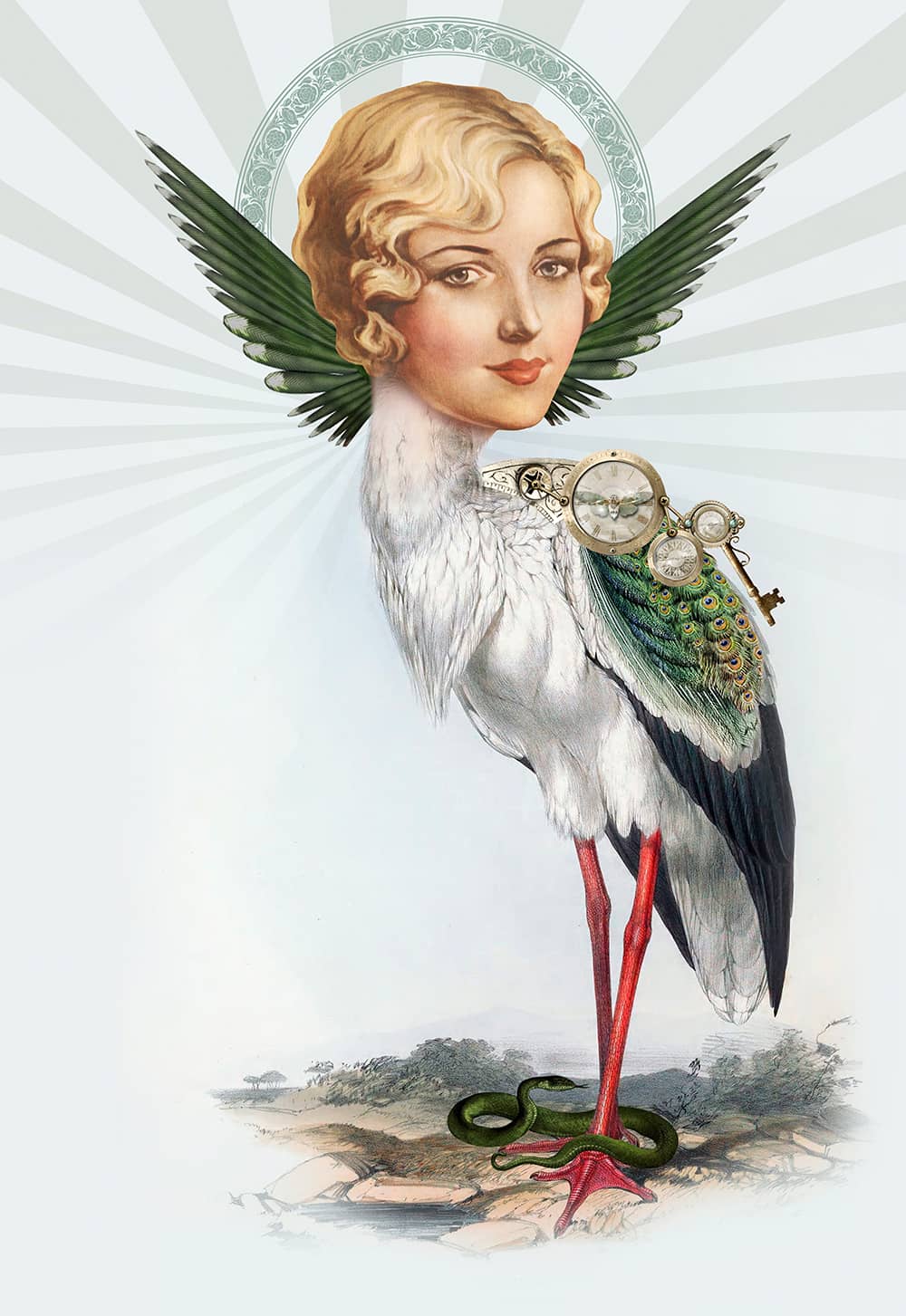 Illustration project by Christina Ullman