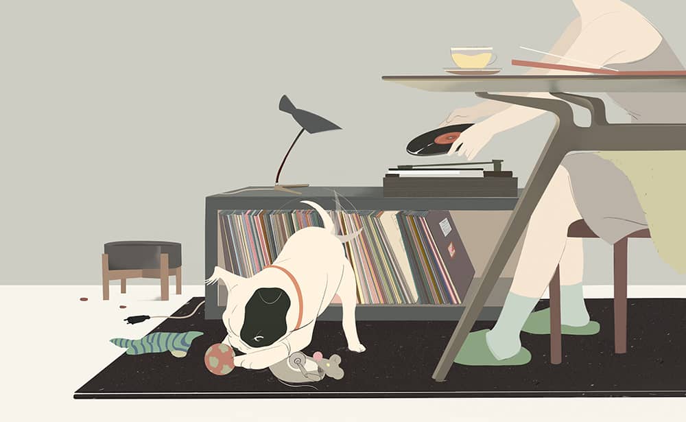 Illustration project by Manyun Cai