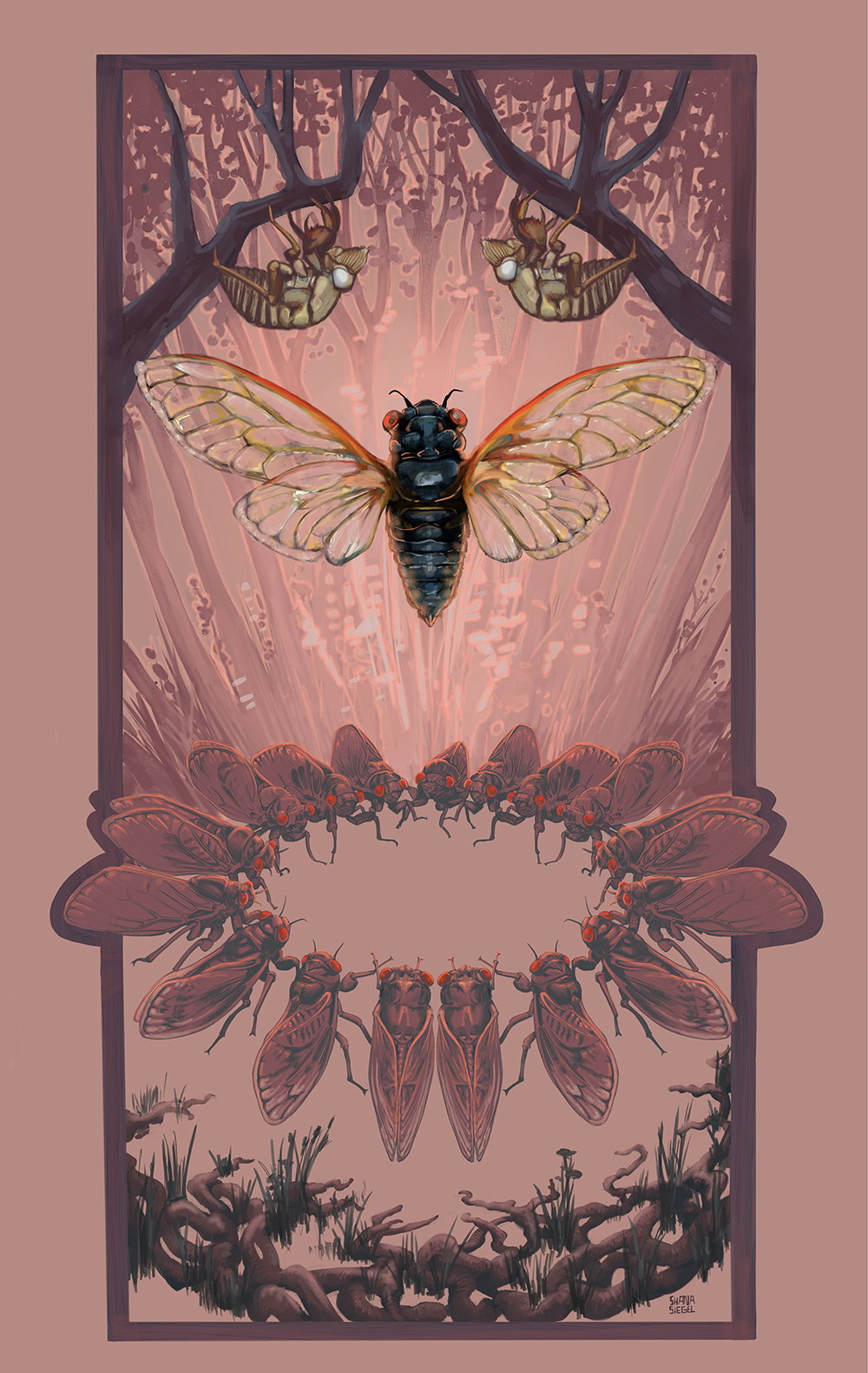 Illustration project by Shana Siegel