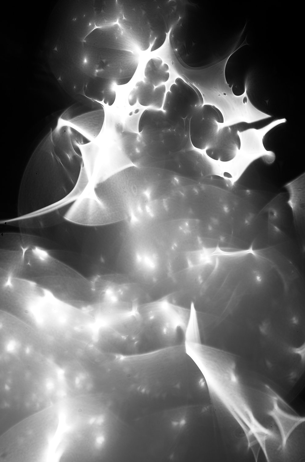 Photography project by Eliott Peacock