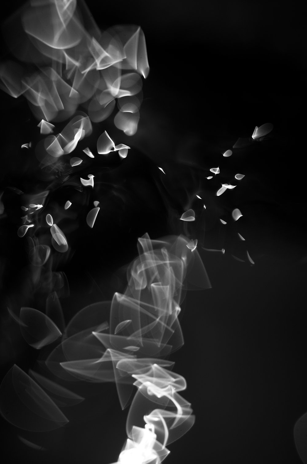 Photography project by Eliott Peacock