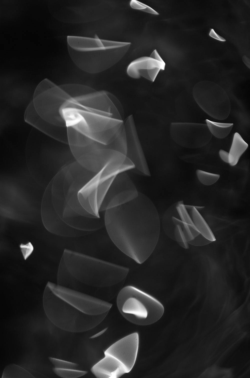 Photography project by Eliott Peacock