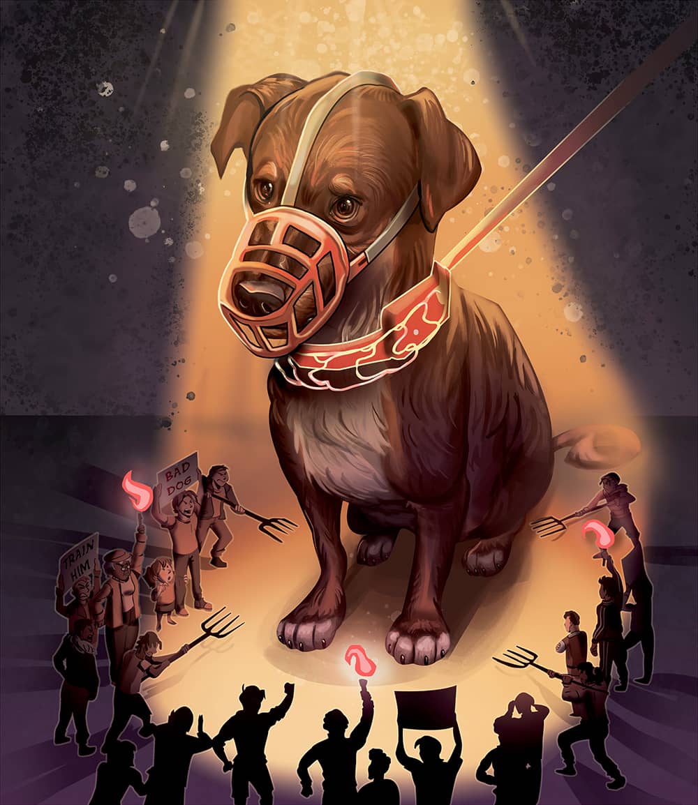 Illustration project by Brianna Boyd