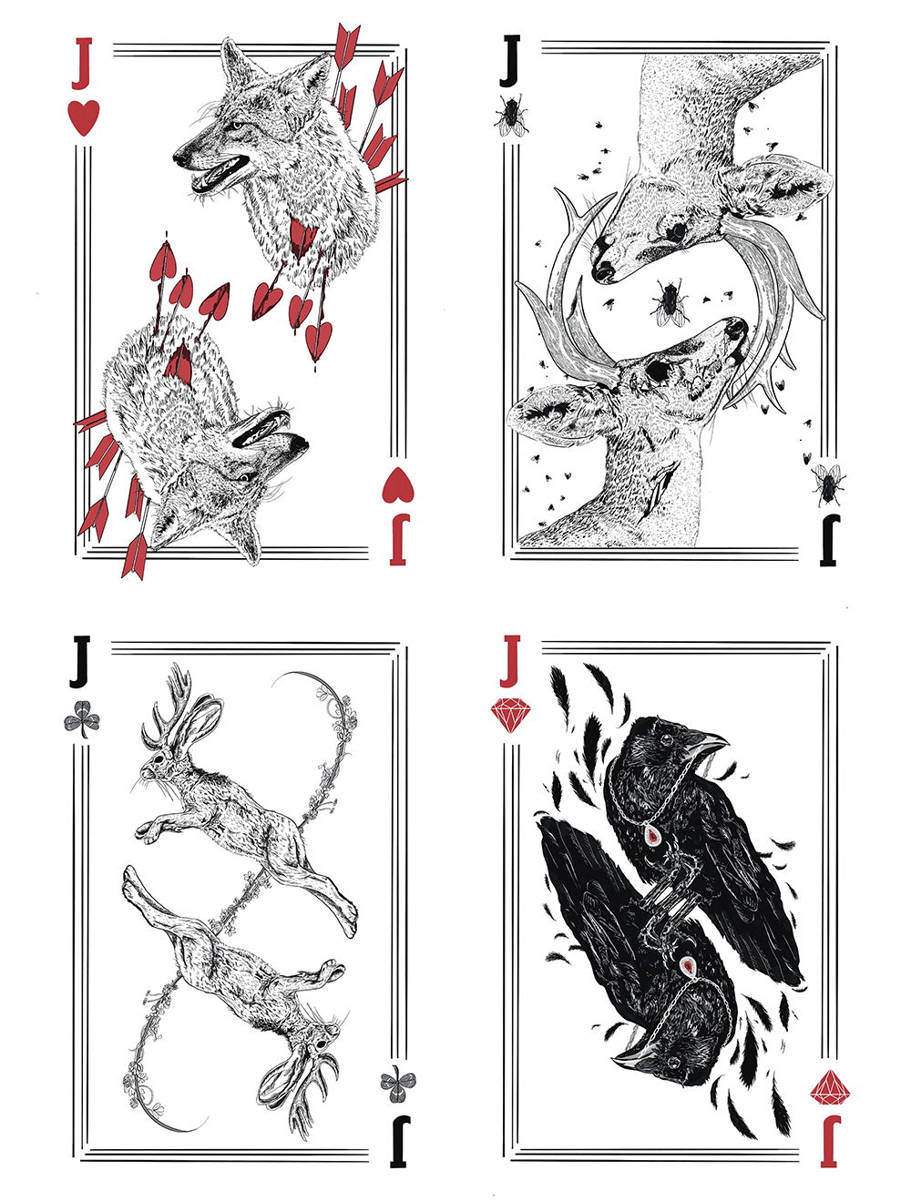 Illustration project by Katie Kuntz