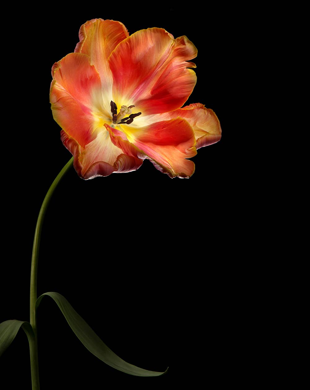 Photography project by joSon Studio 