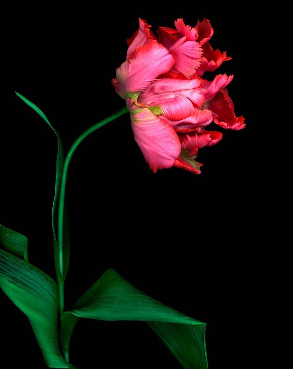 Photography project by joSon Studio 