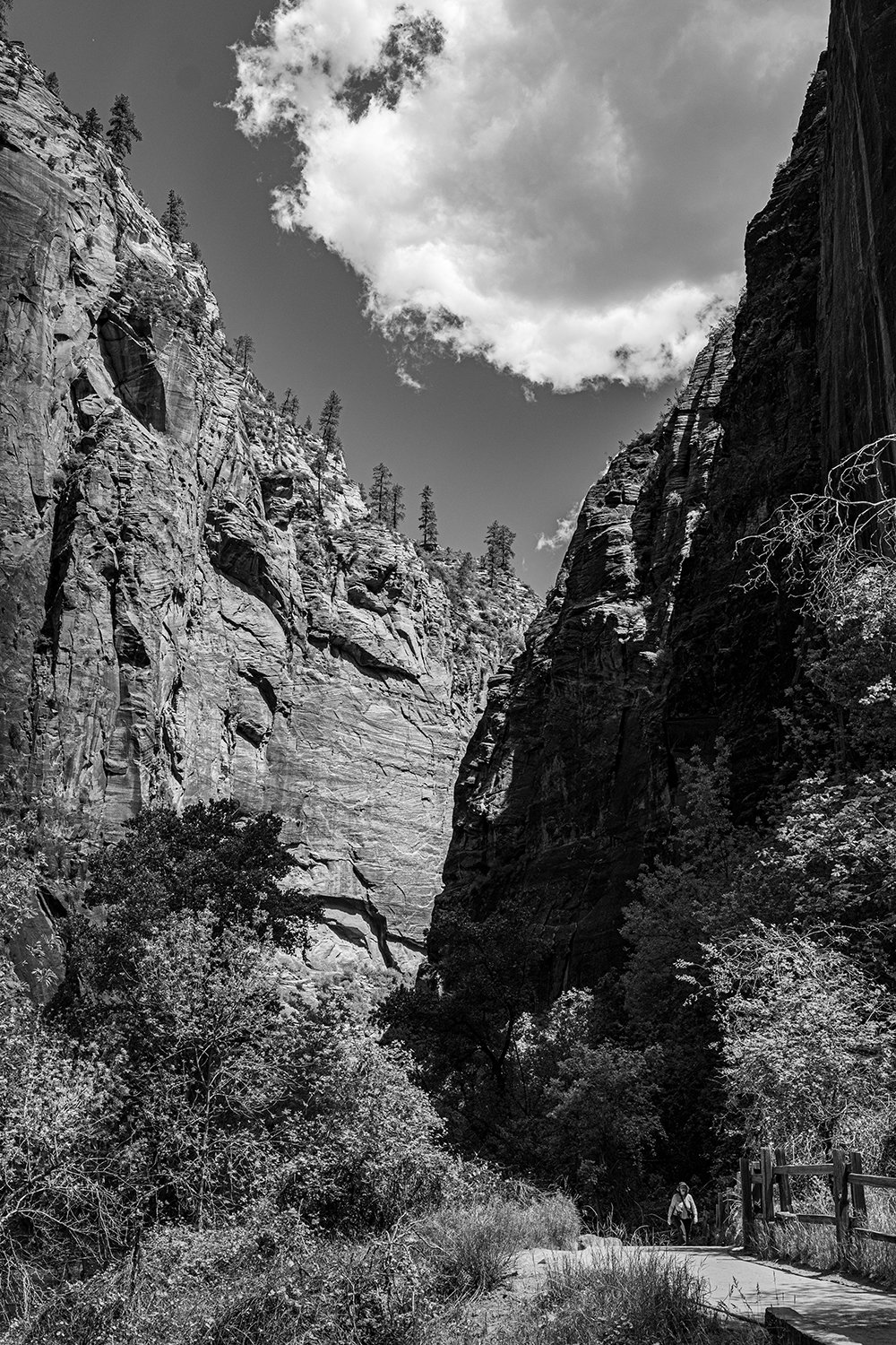 Photography project by Ashley Lillian