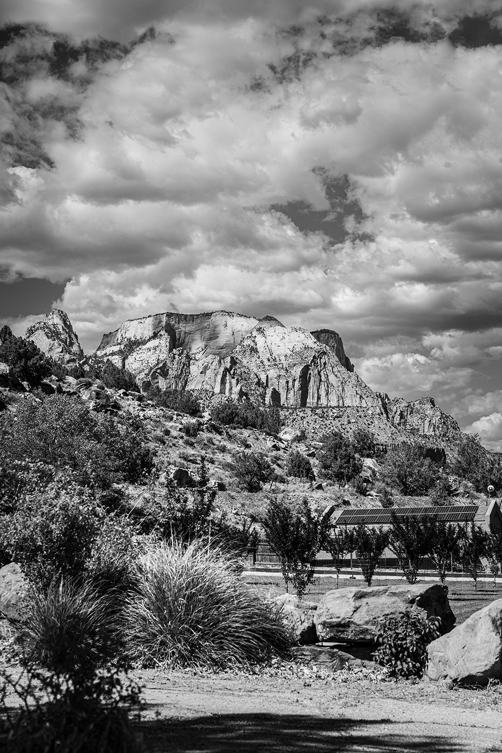 Photography project by Ashley Lillian