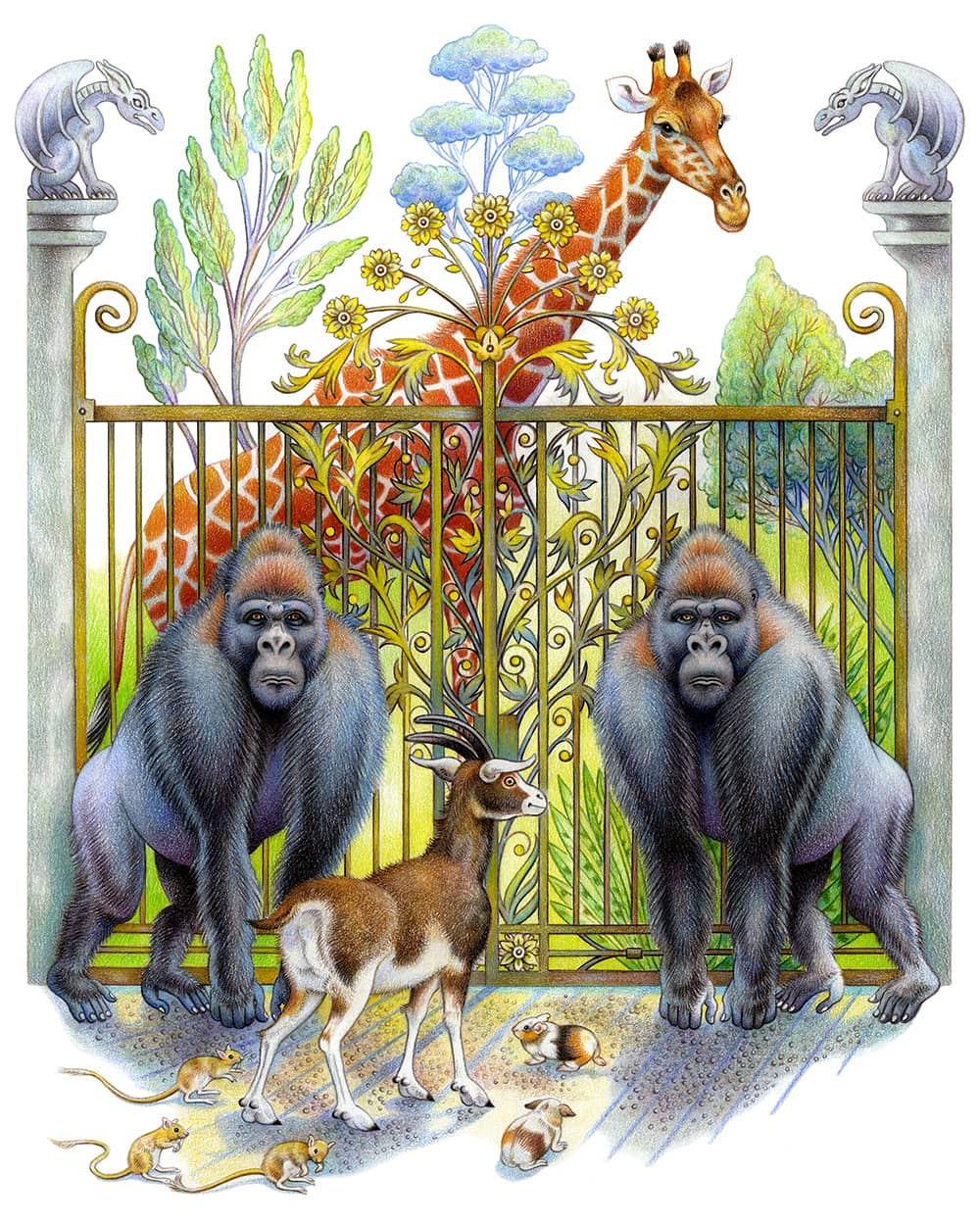 Illustration project by Sylvie Daigneault