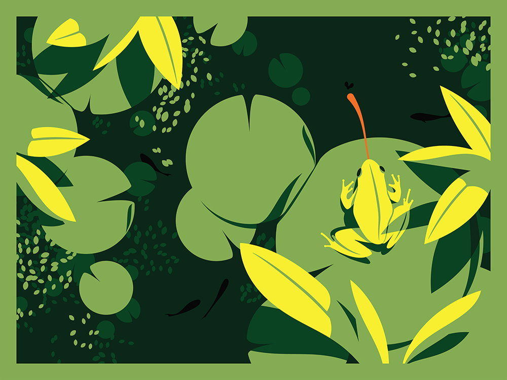 Illustration project by Cheryl Tronson