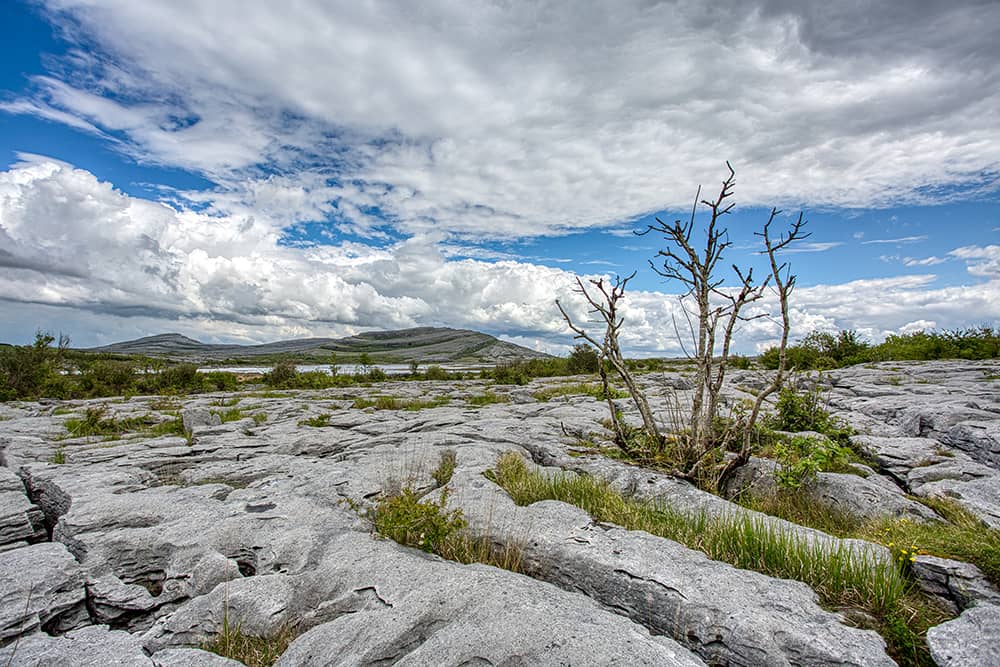 Photography project by Stephen McDowell