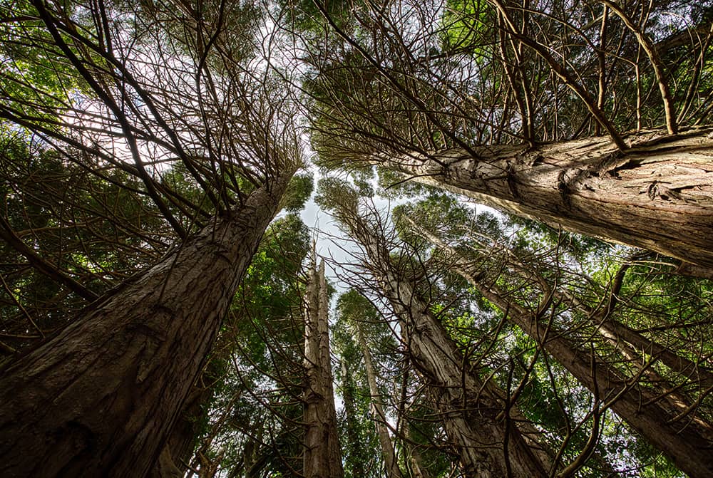 Photography project by Stephen McDowell