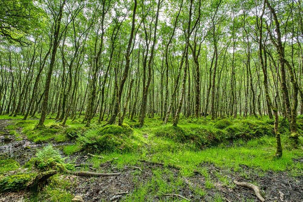 Photography project by Stephen McDowell