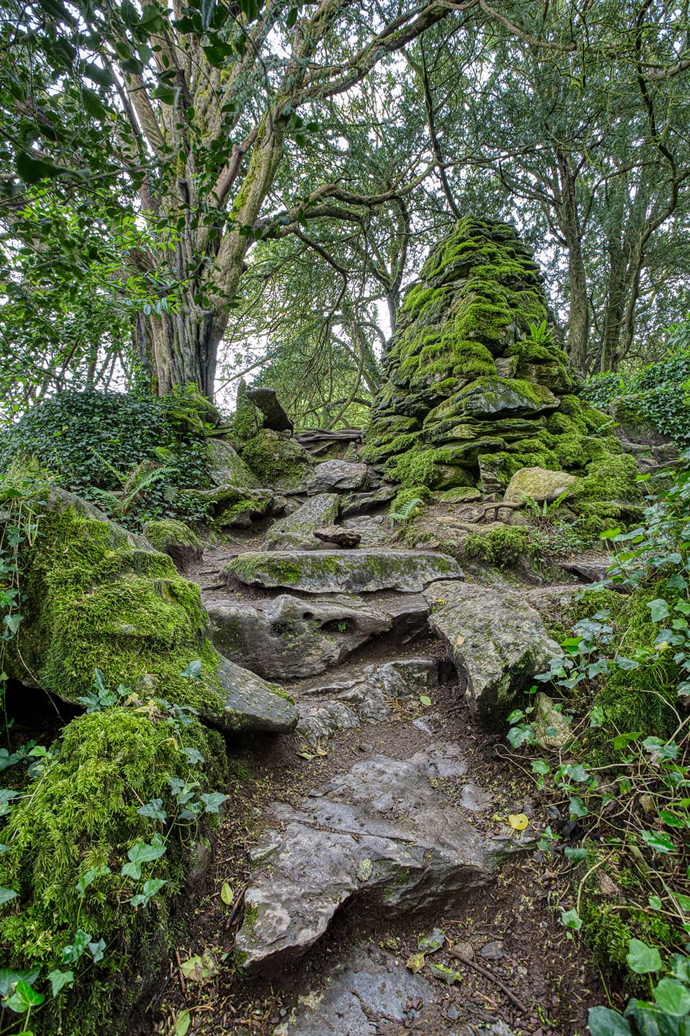 Photography project by Stephen McDowell