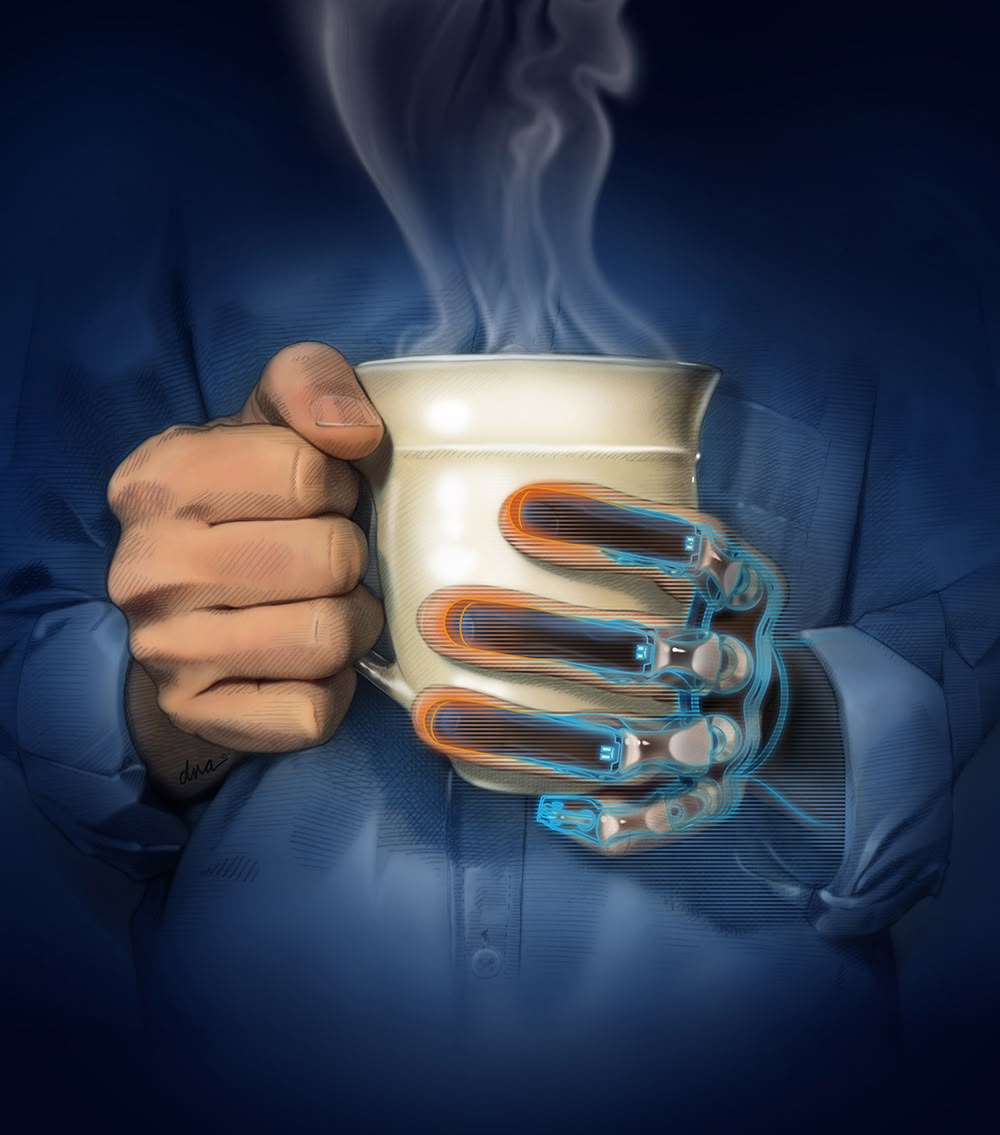 Illustration project by Alexandra Webber