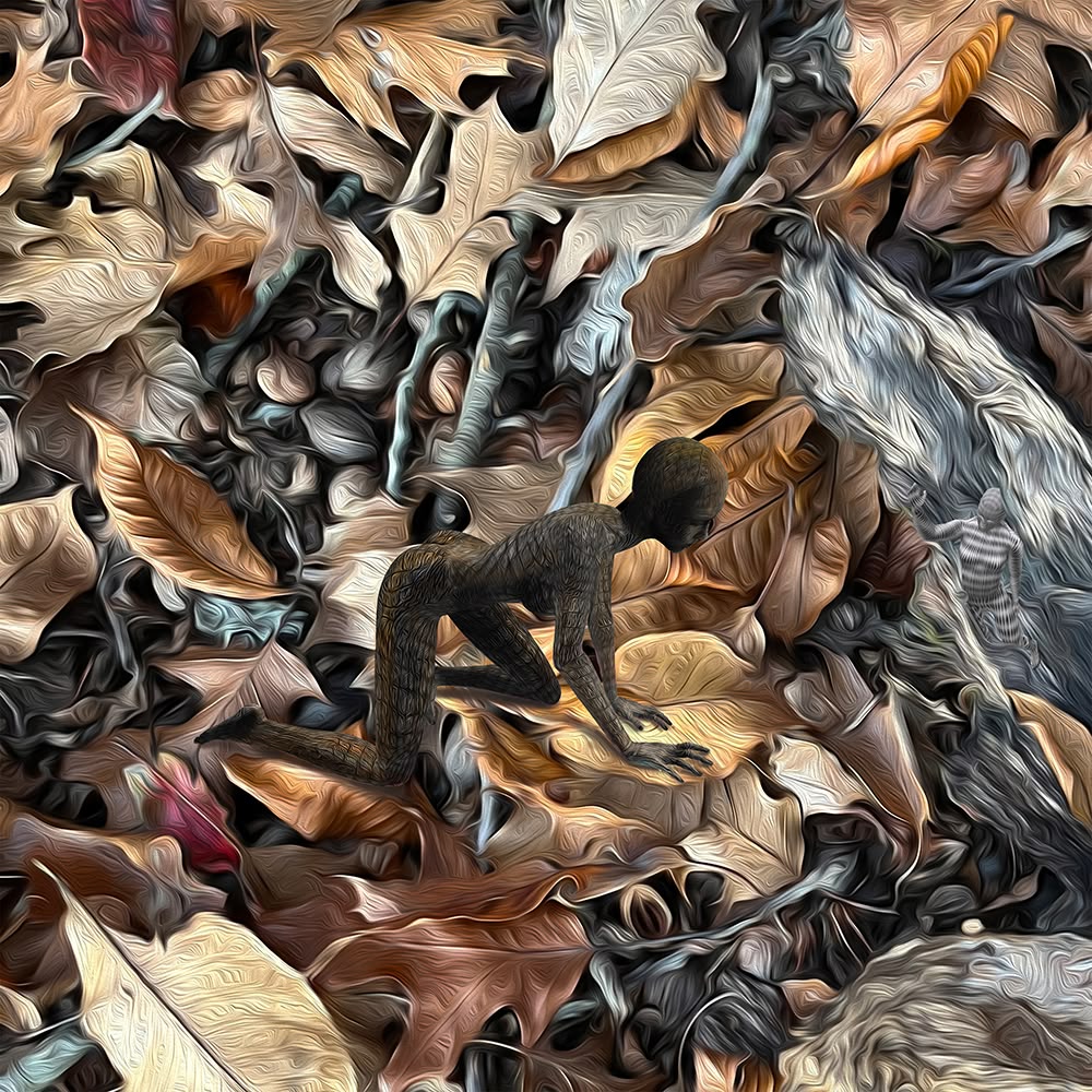 Fine Art project by David Dixon