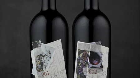  CF Napa Brand Design