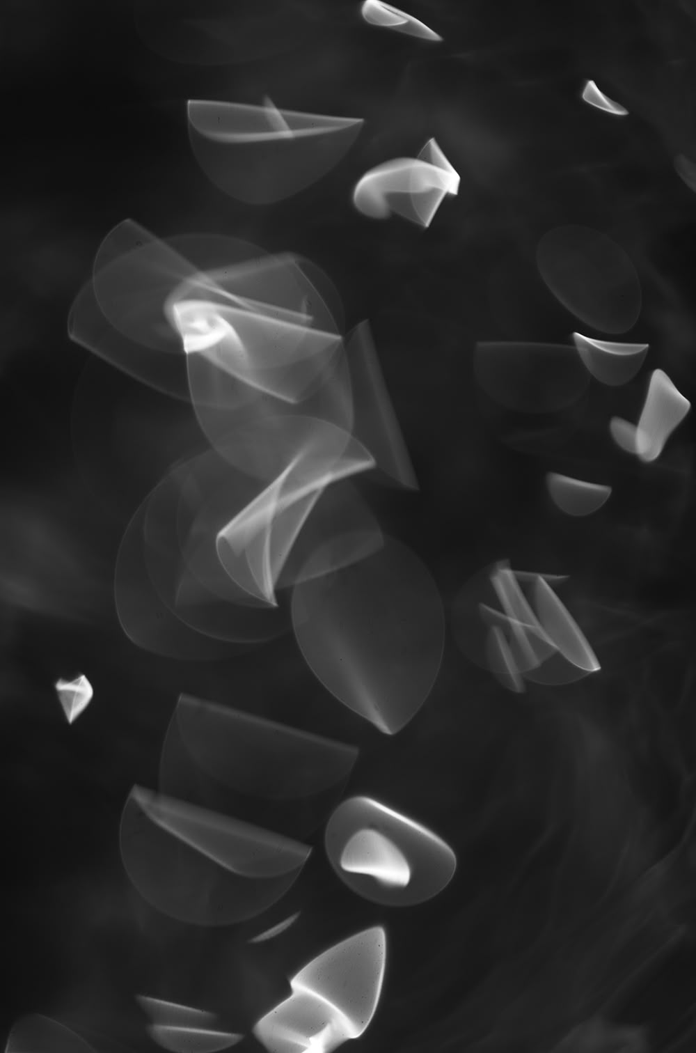 Photography project by Eliott Jule Peacock