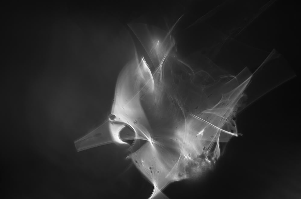 Photography project by Eliott Jule Peacock