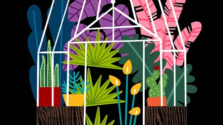  Hideaway House Studio