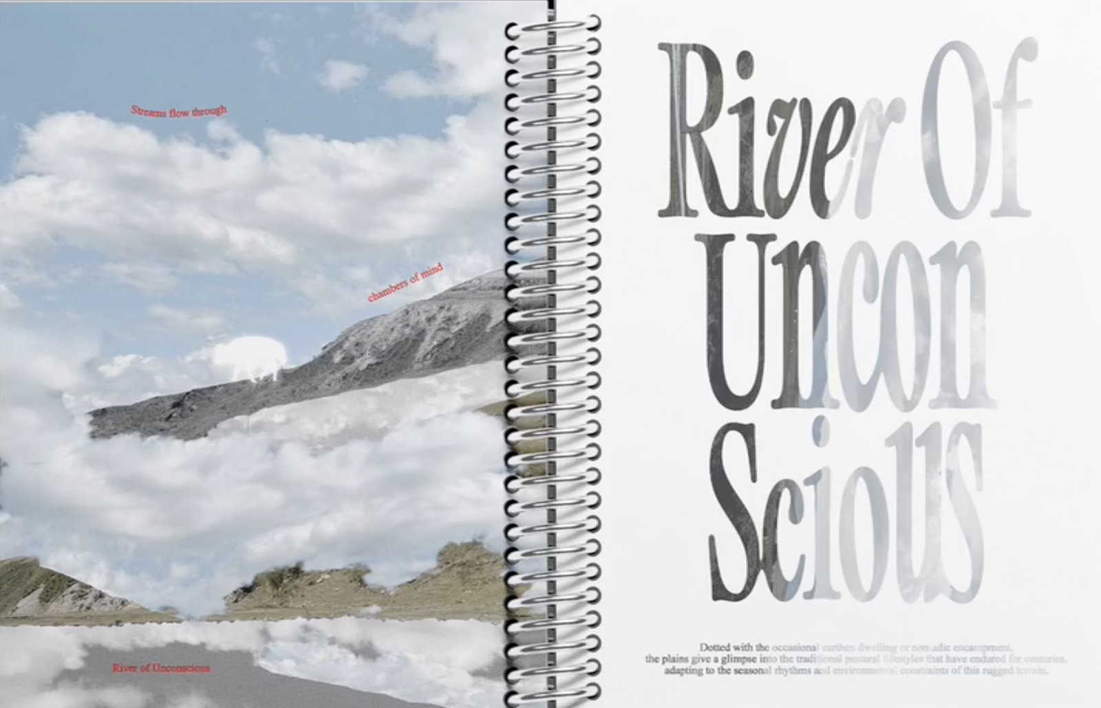 Graphic Design project by Yuxin Lu