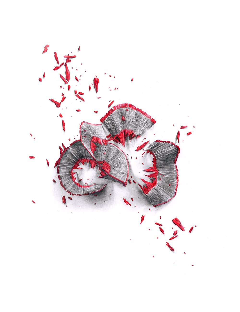 Illustration project by Rebecca J. Jones