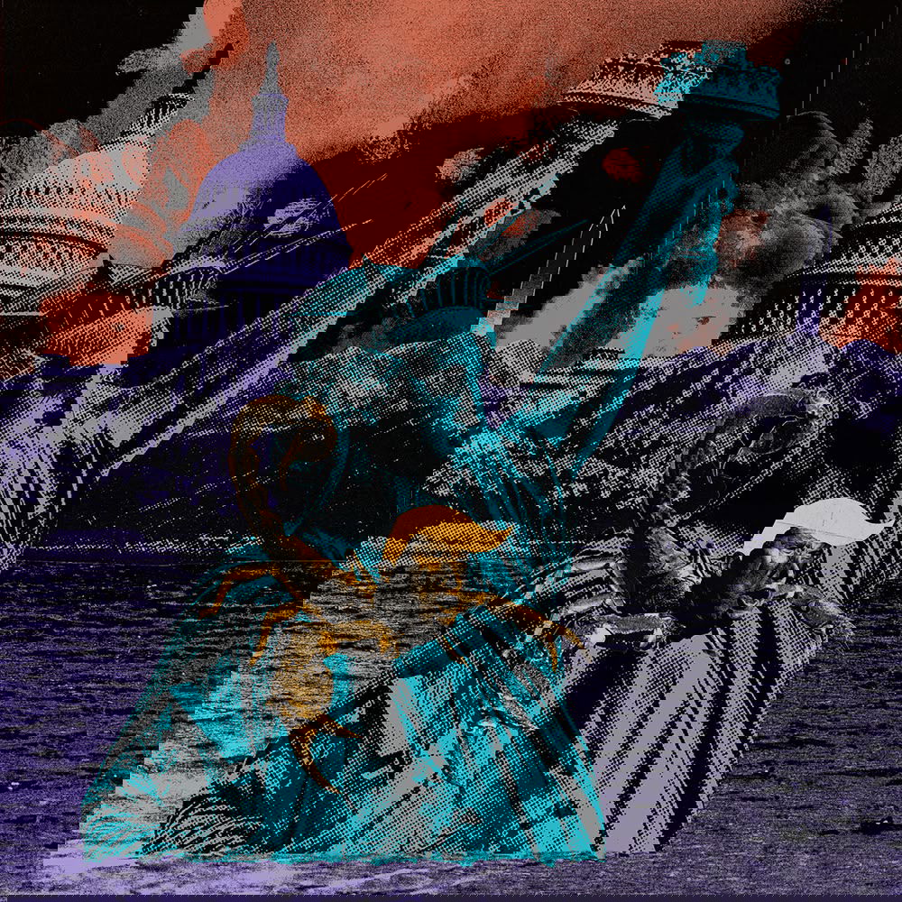 Illustration project by Casey Babb