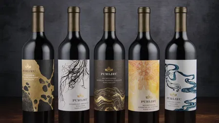  CF Napa Brand Design