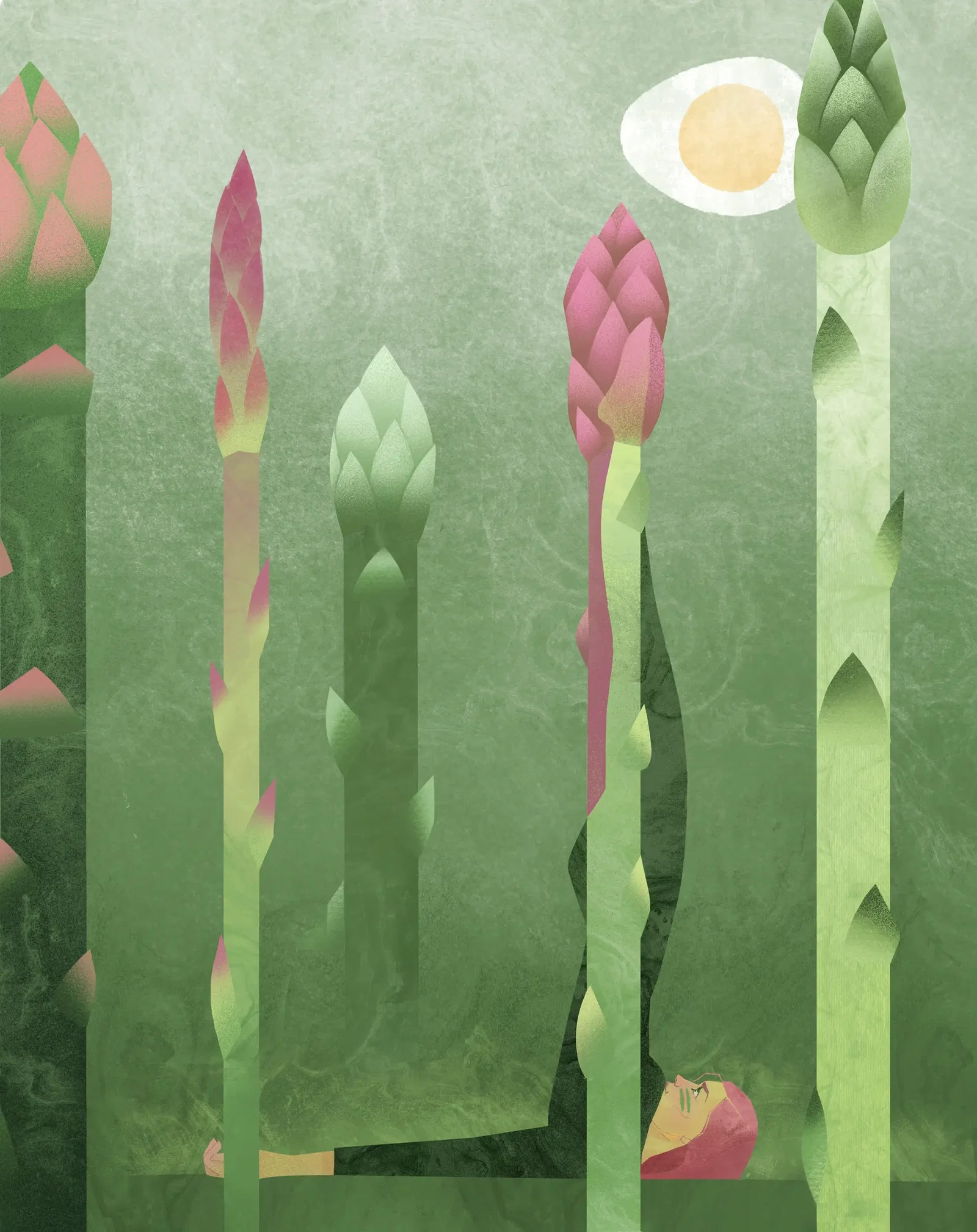 Illustration project by Daria Lada