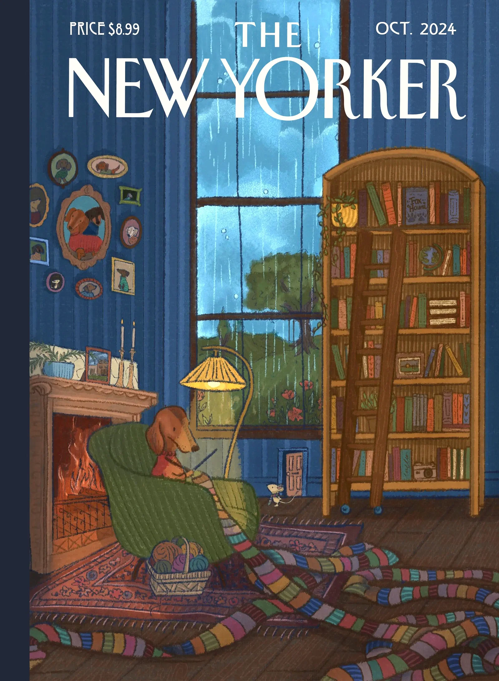 Illustration project by Laney Smith